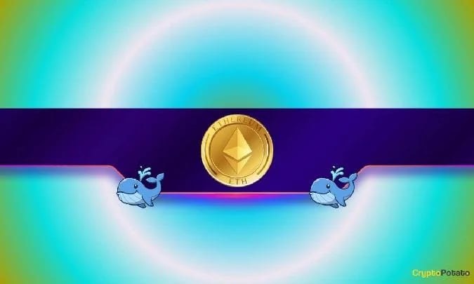 Trotz eines kurzfristigen Preisanstiegs in den letzten Wochen war Ethereum (ETH) eine der Enttäuschungen dieser Hausseperiode. Er wird derzeit bei rund 2.200 $ gehandelt (laut CoinGecko), was einem Rückgang von 42 % gegenüber dem letzten Jahr entspricht. Eth