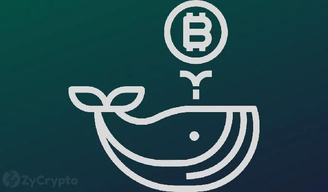 Konkurs gegangene Kryptowährungsbörsen haben erneut große Bitcoin-Beträge übertragen. Diese Transfers werfen Fragen zu den langfristigen Zahlungsplänen auf, die den Börsen auferlegt wurden. . Btc