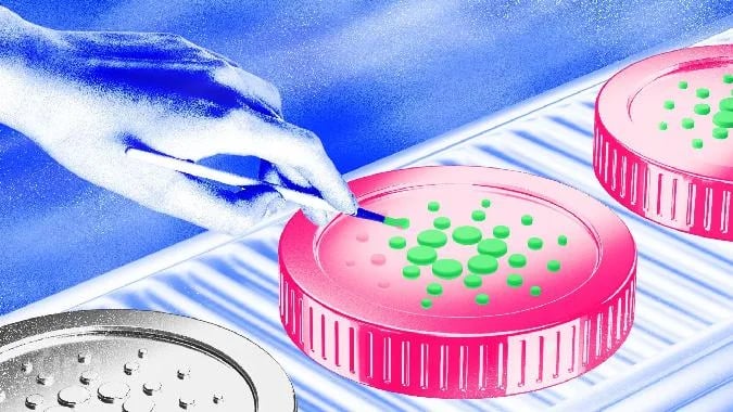 Cardanos Verluste sind wahrscheinlich . Cardano