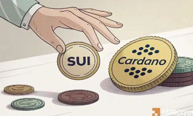 只要看看每天的数据，倾斜是显而易见的。SUI的TVL（锁定总价值）跃升了4.74% ，达到28.38亿美元，而Cardano则下降了3.82% ，为4.1492亿美元。  . Sui