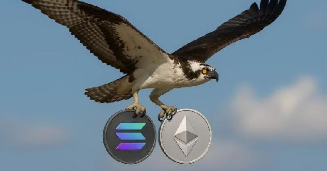 The update follows a request REX and Osprey sent to the SEC asking for confirmation that all staff comments on their Ethereum and Solana staking ETFs have been resolved.  . Etf