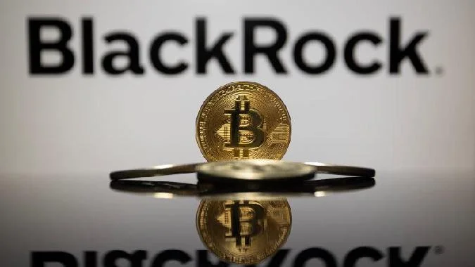 Le pessimisme a envahi le marché, comme lindique lindice de peur et de cupidité, qui, au moment de la publication, sélevait à 11, lun des niveaux les plus bas de lannée. . Bitcoin