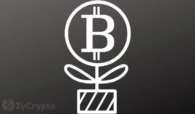 Comme la révélé une déclaration mardi, Strive a conclu un accord de vente avec Cantor Fitzgerald, Barclays et Clear Street concernant lémission dun maximum de 500 millions de dollars de son instrument privilégié à taux variable perpétuel de série A (SATA). . Bitcoin