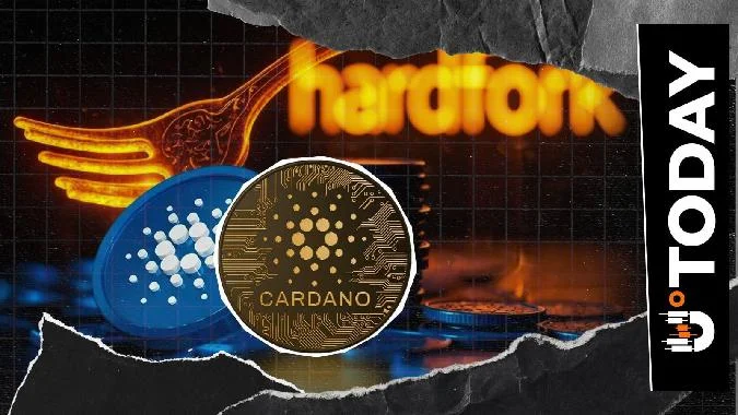 Cardano 的协议版本 11 的内网硬分叉现在已经被正式命名为 Van Rossem 硬分叉，Intersect 在其 2 月 19 日的发布中通知了这一消息. Cardano